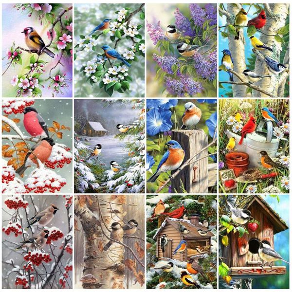 diamond painting evershine embroidery 5d animal full drill square birds picture rhinestones diy needlework wall art
diamond painting evershine embroidery 5d animal full drill square birds picture rhinestones diy needlework wall art