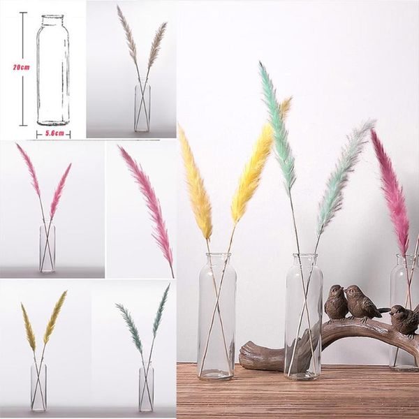 15 pcs dried small pampas grass phragmites communis decoration for home store wedding cnt 66
15 pcs dried small pampas grass phragmites communis decoration for home store wedding cnt 66