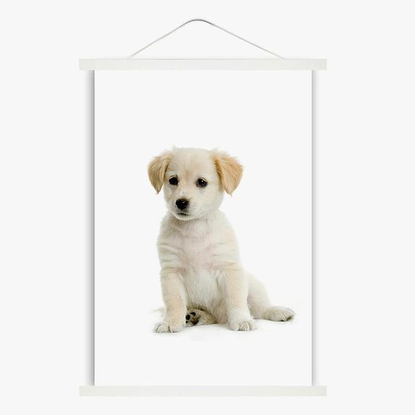 frames white color magnetic poster hanger frame picture holder 12inch 16inch for artwork paintings pos maps 30cm 40cm 50cm
frames white color magnetic poster hanger frame picture holder 12inch 16inch for artwork paintings pos maps 30cm 40cm 50cm