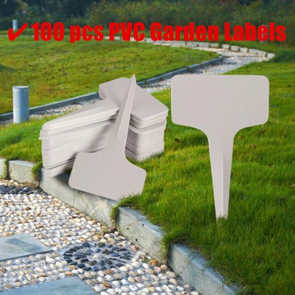 100/200 pcs pvc t-type plants pot insert labels reusable white garden plant sorting sign 10*6cm waterproof markers plant xh8z
100/200 pcs pvc t-type plants pot insert labels reusable white garden plant sorting sign 10*6cm waterproof markers plant xh8z