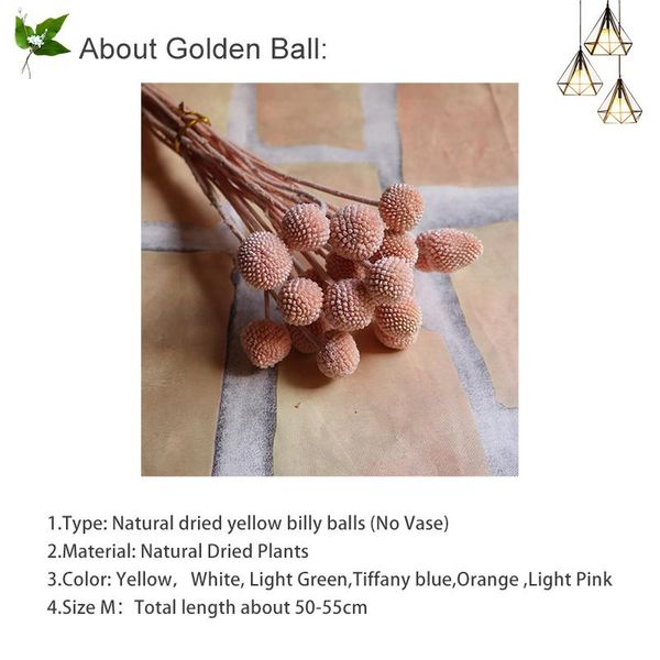 decorative flowers & wreaths 20pcs home decoration dried billy ball flower wedding large bouquet natural party no vase
decorative flowers & wreaths 20pcs home decoration dried billy ball flower wedding large bouquet natural party no vase