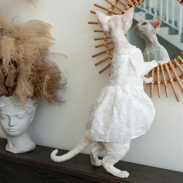 cat costumes hairless clothes breathable soft cotton hollow dress summer skirt german sphinx accessories
cat costumes hairless clothes breathable soft cotton hollow dress summer skirt german sphinx accessories