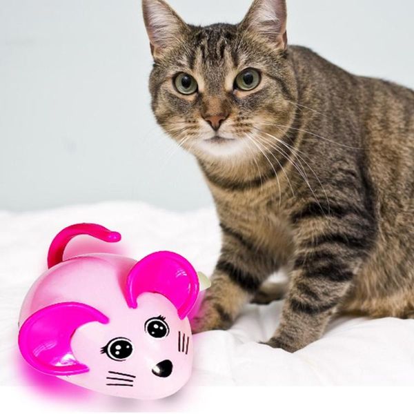 cat toys teaser toy cartoon winding clockwork mouse plastic colorful squeaky chewing sounding pet kitten interactive supplies
cat toys teaser toy cartoon winding clockwork mouse plastic colorful squeaky chewing sounding pet kitten interactive supplies