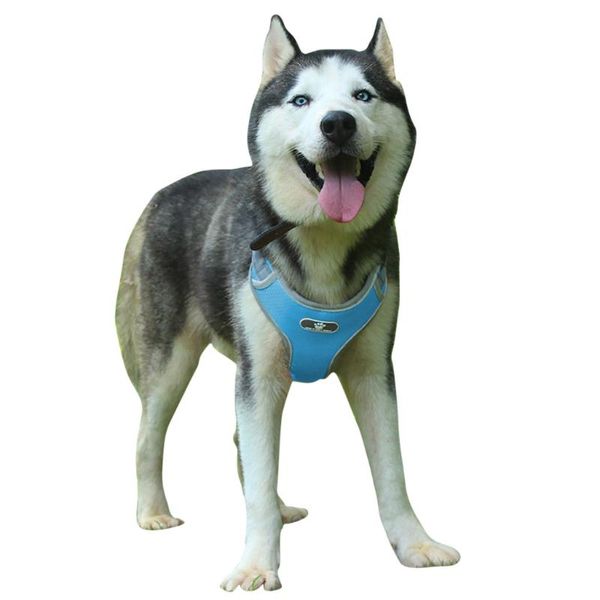 dog collars & leashes pet adjustable vest reflective easy control for small medium large dogs leads chest straps clothes autumn vests
dog collars & leashes pet adjustable vest reflective easy control for small medium large dogs leads chest straps clothes autumn vests
