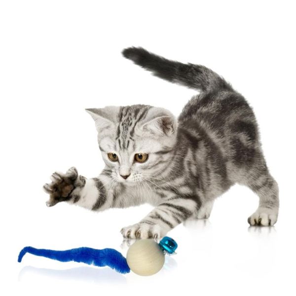 cat toys funny wiggly balls toy bell wooden chewing interactive kitten wool wood sounding playing teaser pet
cat toys funny wiggly balls toy bell wooden chewing interactive kitten wool wood sounding playing teaser pet