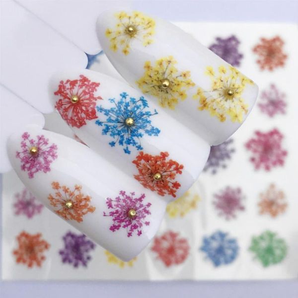 nail gel 1@# plant flower uv polish gold glitter sequins soak off varnish color diy art st1, Red;pink
nail gel 1@# plant flower uv polish gold glitter sequins soak off varnish color diy art st1, Red;pink