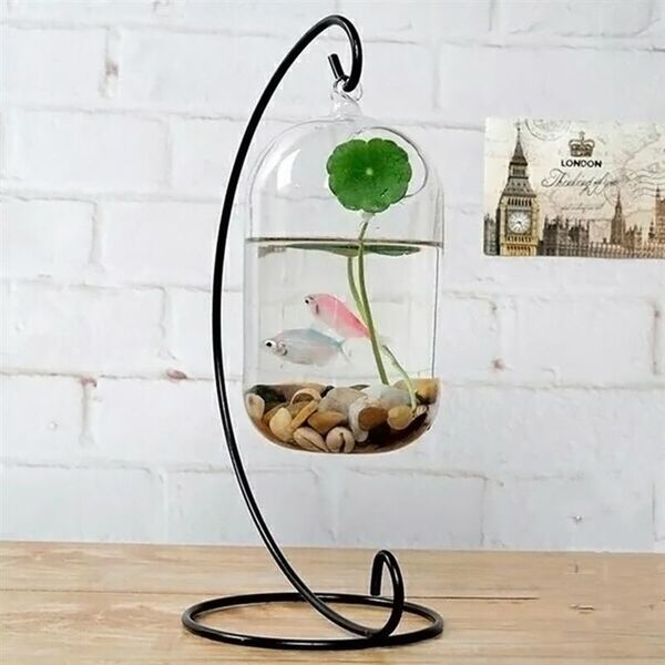 vases 15cm suspended transparent hanging glass fish tank infusion bottle aquarium flower plant vase for home decoration
vases 15cm suspended transparent hanging glass fish tank infusion bottle aquarium flower plant vase for home decoration