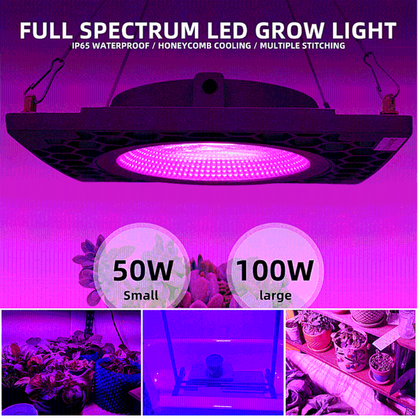 aluminum led grow light 3500k waterproof outdoor cob phyto lamp for plants veg flowers seedlings growing garden full spectrum
aluminum led grow light 3500k waterproof outdoor cob phyto lamp for plants veg flowers seedlings growing garden full spectrum