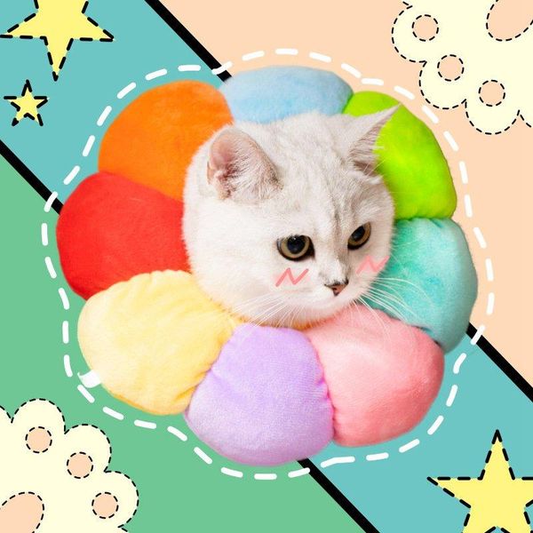 cat collars & leads collar pet protective dogs wound healing protection elizabethan anti-bite recovery circle elizabeth
cat collars & leads collar pet protective dogs wound healing protection elizabethan anti-bite recovery circle elizabeth