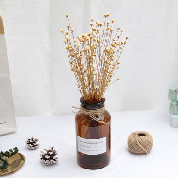 50pcs real happy flower bouquet dry flowers press mini decorative pgraphy small natural dried flowers p backdrop decor
50pcs real happy flower bouquet dry flowers press mini decorative pgraphy small natural dried flowers p backdrop decor