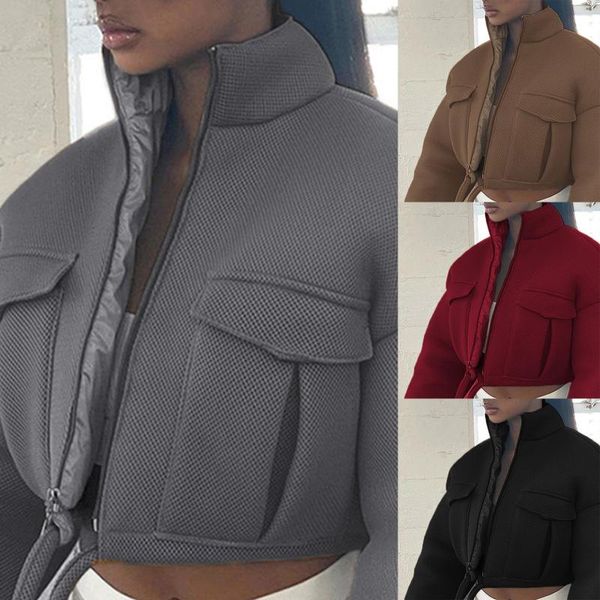 women's jackets mesh check autumn and spring coat trend high collar zipper pocket short jacket solid color slim drawstring women, Black;brown
women's jackets mesh check autumn and spring coat trend high collar zipper pocket short jacket solid color slim drawstring women, Black;brown