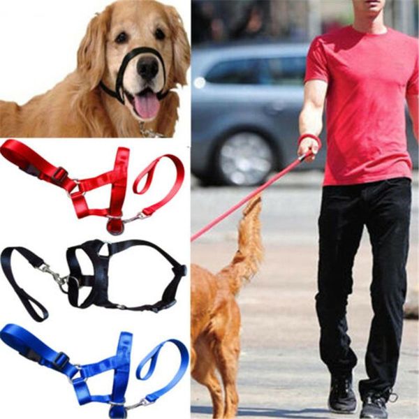 dog collars & leashes training puppy head collar halter pet mouth traction set muzzle leash leader no pull strap s-xxl
dog collars & leashes training puppy head collar halter pet mouth traction set muzzle leash leader no pull strap s-xxl