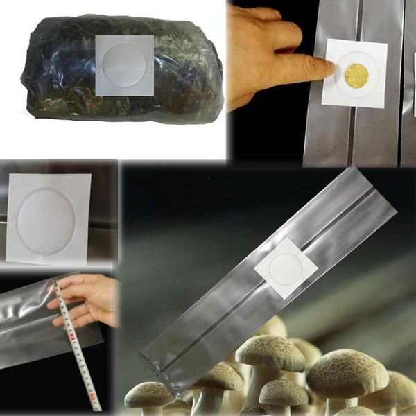 pvc mushroom spawn grow bag substrate high temp pre sealable 50pcs garden supplies tools
pvc mushroom spawn grow bag substrate high temp pre sealable 50pcs garden supplies tools