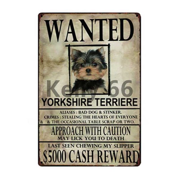 pet warning dog rule better yorkshire terrier yorkie metal sign home decor bar wall art painting 20*30 cm size dg-22
pet warning dog rule better yorkshire terrier yorkie metal sign home decor bar wall art painting 20*30 cm size dg-22