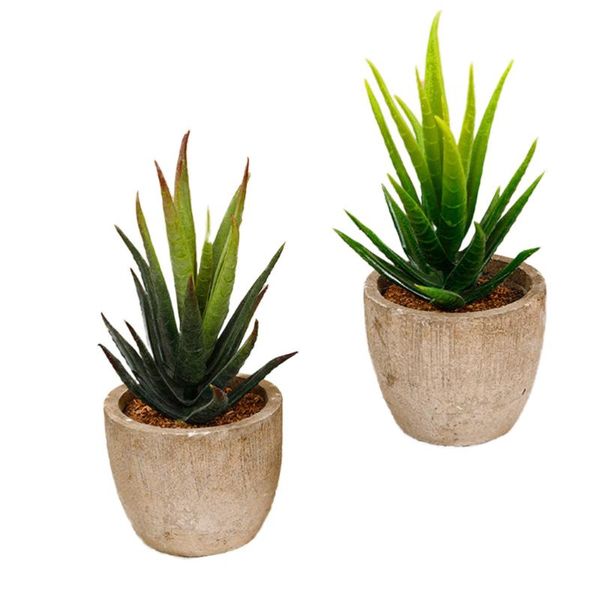 decorative flowers & wreaths 2 pcs simulated succulent plant ornament fake landscape decors ornaments for home office balcony supplies (gree
decorative flowers & wreaths 2 pcs simulated succulent plant ornament fake landscape decors ornaments for home office balcony supplies (gree