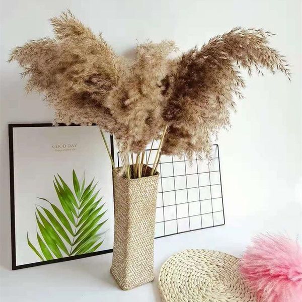 decorative flowers & wreaths 10pcs real dried pampas grass decor natural plants wedding plantas naturales dry flower decoration marriage
decorative flowers & wreaths 10pcs real dried pampas grass decor natural plants wedding plantas naturales dry flower decoration marriage