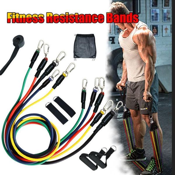 resistance bands 11 pcs set fitness gym equipment exercise pull rope elastic training expander1
resistance bands 11 pcs set fitness gym equipment exercise pull rope elastic training expander1