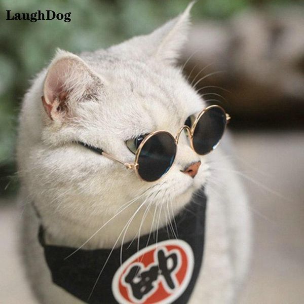 cat costumes cute pet glasses colorful vintage round sunglasses for cats dogs reflection eye wear metal pos accessories
cat costumes cute pet glasses colorful vintage round sunglasses for cats dogs reflection eye wear metal pos accessories