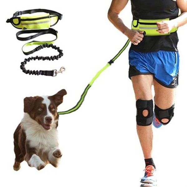 dog collars & leashes traction rope hands jogging leash with waist bag pull running elastic belt reflective harnesses accessories
dog collars & leashes traction rope hands jogging leash with waist bag pull running elastic belt reflective harnesses accessories