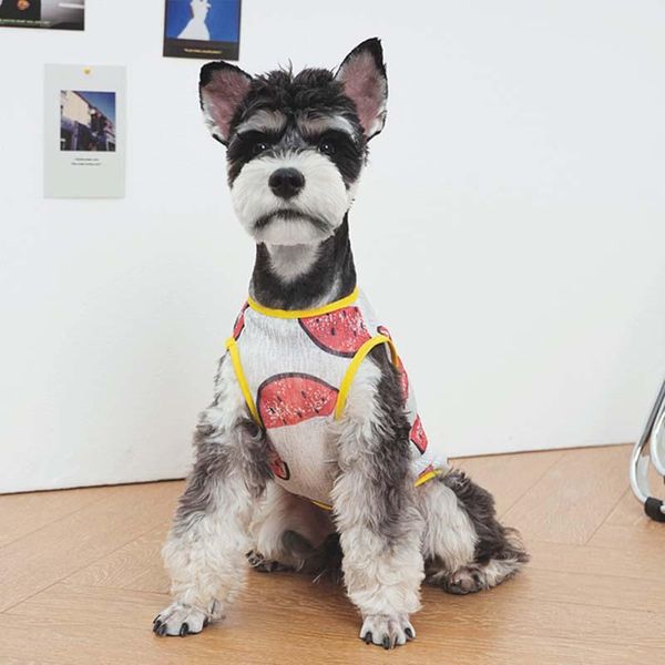dog apparel cute sun protection clothing spring and summer thin section teddy bear schnauzer small vest pet cat costume
dog apparel cute sun protection clothing spring and summer thin section teddy bear schnauzer small vest pet cat costume