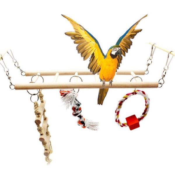 other bird supplies 45# 2021 colorful parrot climbing hanging ladder bridge swing ring rope knot pet cage decor toy randomly color
other bird supplies 45# 2021 colorful parrot climbing hanging ladder bridge swing ring rope knot pet cage decor toy randomly color