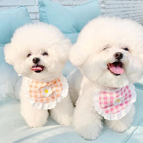 dog collars & leashes fowecelt 2021 cat collar pet decor supplies plaid flower scarf bichon teddy puppy clothes accessories for small dogs
dog collars & leashes fowecelt 2021 cat collar pet decor supplies plaid flower scarf bichon teddy puppy clothes accessories for small dogs