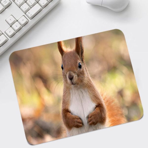 mouse pads & wrist rests mice mat small size 220x180mm animal pet cute mouse-pad deskfor child desk keyboard pad
mouse pads & wrist rests mice mat small size 220x180mm animal pet cute mouse-pad deskfor child desk keyboard pad