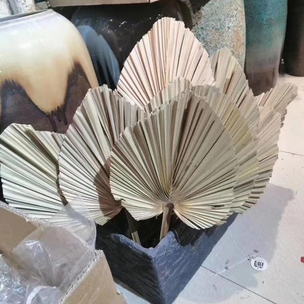 decorative flowers & wreaths about 20*40cm/1pcs dried natural plant palm leaves,diy dry fan leaf for party art wall hanging,wedding decorati
decorative flowers & wreaths about 20*40cm/1pcs dried natural plant palm leaves,diy dry fan leaf for party art wall hanging,wedding decorati