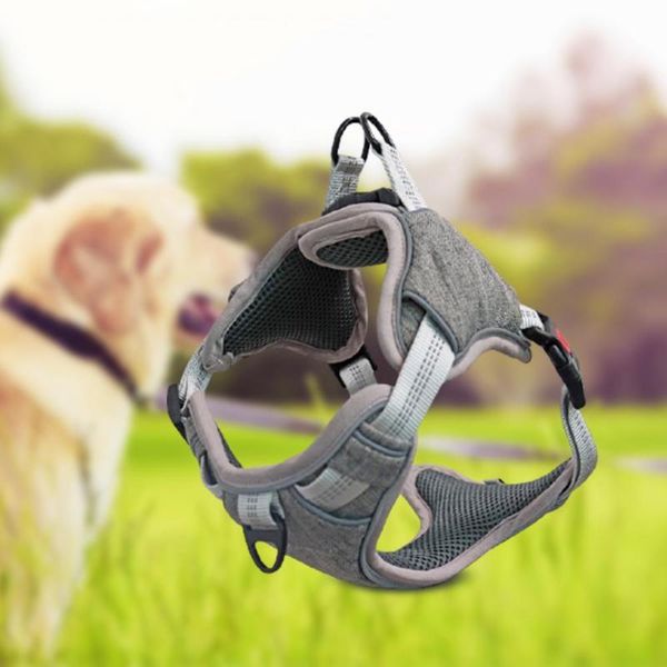 dog collars & leashes drop cat collar mesh comfortable reflective strong buckle type harness for
dog collars & leashes drop cat collar mesh comfortable reflective strong buckle type harness for