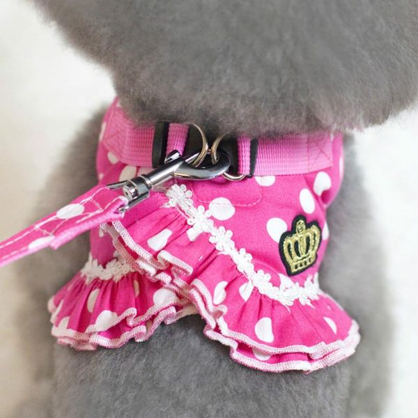 dog collars & leashes wave breasts pet vest traction rope poodle doggy chest strap / and back clothes
dog collars & leashes wave breasts pet vest traction rope poodle doggy chest strap / and back clothes