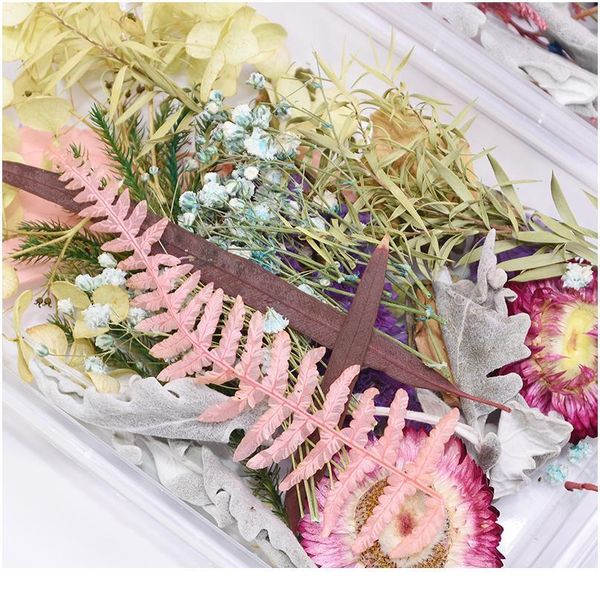 1 box hybrid real dried flowers plant for aromatherapy candle epoxy resin pendant necklace jewelry making craft diy acc qyljga
1 box hybrid real dried flowers plant for aromatherapy candle epoxy resin pendant necklace jewelry making craft diy acc qyljga