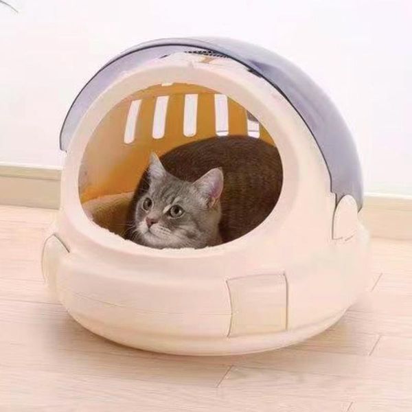 cat beds & furniture transparent portable carrier dog shoulder travel bag foldable for pet large space comfortable tent outdoor supplies
cat beds & furniture transparent portable carrier dog shoulder travel bag foldable for pet large space comfortable tent outdoor supplies