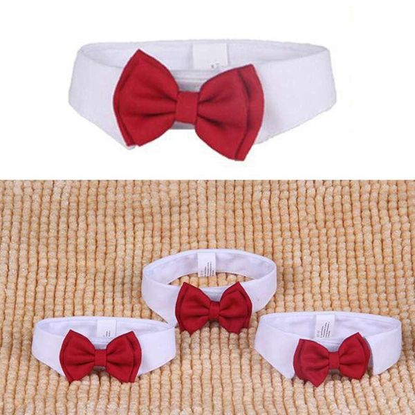 dog apparel cute dogs cotton white tie and red bow puppy necktie for pet wedding party accessories
dog apparel cute dogs cotton white tie and red bow puppy necktie for pet wedding party accessories