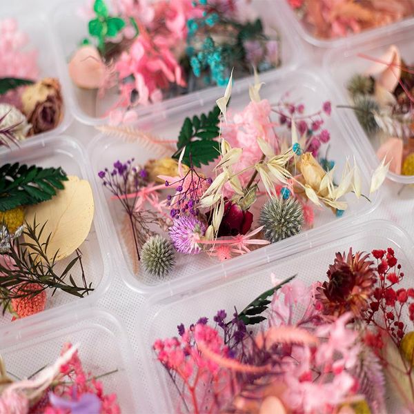 decorative flowers & wreaths 1 box colorful real dried flower plant for candle epoxy resin pendant necklace jewelry making craf
decorative flowers & wreaths 1 box colorful real dried flower plant for candle epoxy resin pendant necklace jewelry making craf