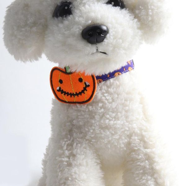 cat collars & leads 2021 adjustable cute collar with bell neck ring safety buckle strap pumpkin pet supply festival halloween
cat collars & leads 2021 adjustable cute collar with bell neck ring safety buckle strap pumpkin pet supply festival halloween