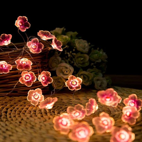 strings 2021 3m led peach bronze line light string battery box holiday decorative color petal styling copper silk
strings 2021 3m led peach bronze line light string battery box holiday decorative color petal styling copper silk