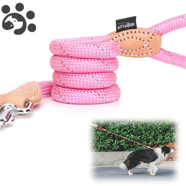 dog collars & leashes reflective big running leash long nylon for large small dogs rope lead pet cats training
dog collars & leashes reflective big running leash long nylon for large small dogs rope lead pet cats training