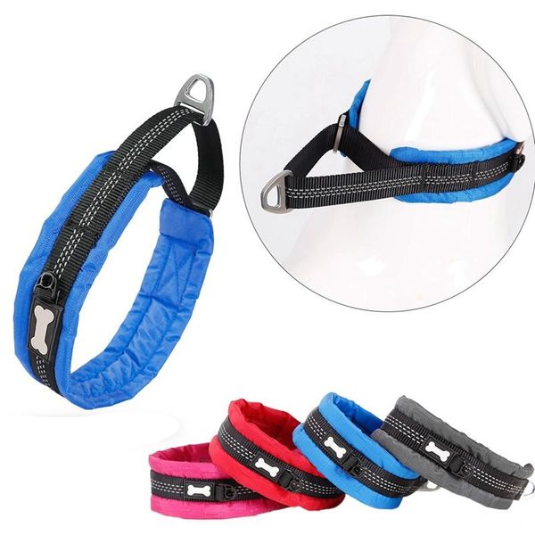 dog collars & leashes collar with handle pet jump resistant control adjustable explosion-proof reflective training s-xl dropshiping
dog collars & leashes collar with handle pet jump resistant control adjustable explosion-proof reflective training s-xl dropshiping