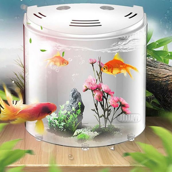 aquariums 5l filtration fish tank electronic usb led 180 degree open home decor office deskportable clear acrylic mini aquarium
aquariums 5l filtration fish tank electronic usb led 180 degree open home decor office deskportable clear acrylic mini aquarium