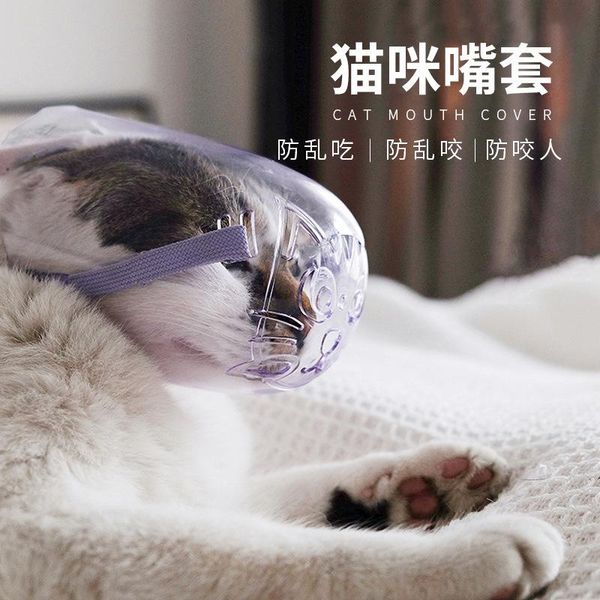 new cat mouth cover cat bath injection beauty anti-bite anti-call anti-bite mouth cover pet
new cat mouth cover cat bath injection beauty anti-bite anti-call anti-bite mouth cover pet