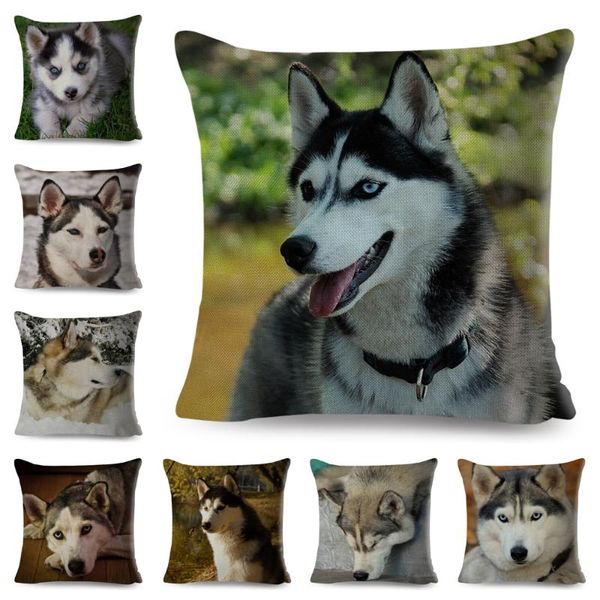 cushion/decorative pillow siberian husky case decor cute pet dog animal cushion cover for sofa home chidren room linen pillowcase covers 45*
cushion/decorative pillow siberian husky case decor cute pet dog animal cushion cover for sofa home chidren room linen pillowcase covers 45*