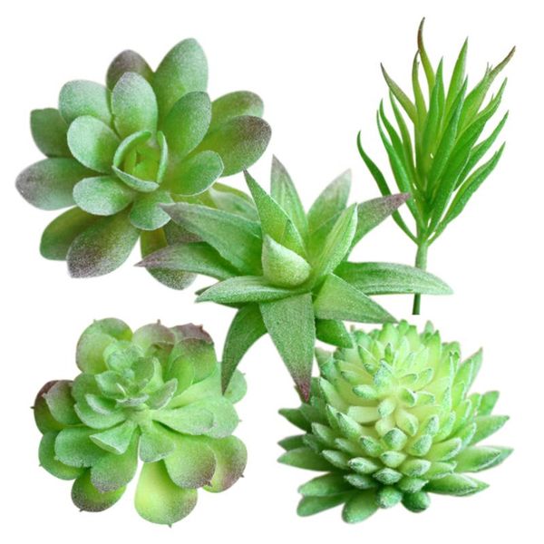 decorative mini assorted green plant faux artificial succulent plants emulational for office home table desk flowers & wreaths
decorative mini assorted green plant faux artificial succulent plants emulational for office home table desk flowers & wreaths