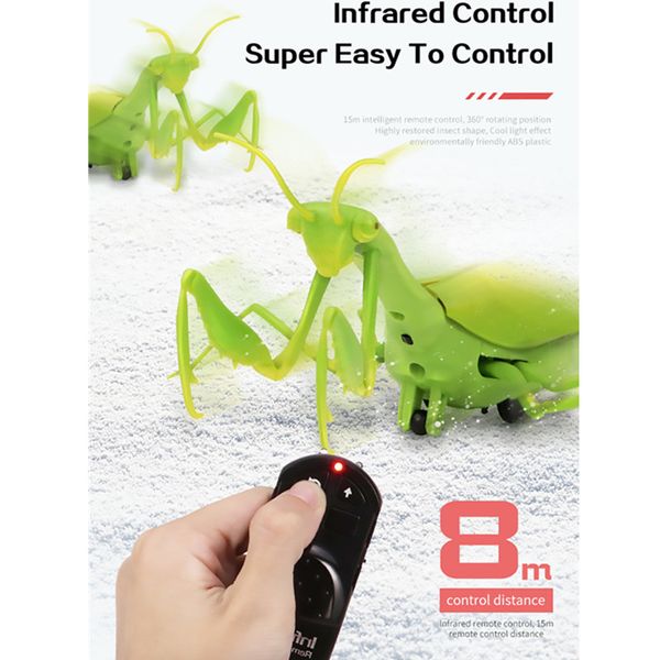 intelligent praying mantis cute funny animal classic mini remote control mantis high simulation moving sliding flash lights gift
intelligent praying mantis cute funny animal classic mini remote control mantis high simulation moving sliding flash lights gift