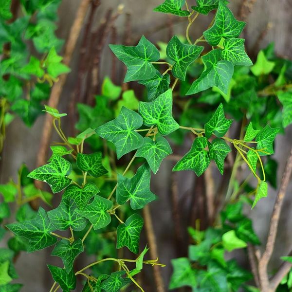 decorative flowers & wreaths 2.2m artificial ivy leaf garland plants vine fake foliage home decor plastic rattan evergreen cirrus
decorative flowers & wreaths 2.2m artificial ivy leaf garland plants vine fake foliage home decor plastic rattan evergreen cirrus