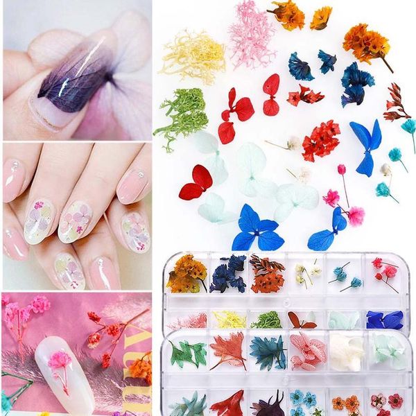 1 box of dried flowers suitable for manicure and beauty makeup, natural flowers uv glue jewelry epoxy resin jllifz
1 box of dried flowers suitable for manicure and beauty makeup, natural flowers uv glue jewelry epoxy resin jllifz