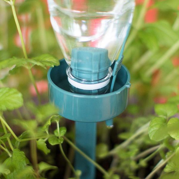 watering equipments 6pcs self flower plant device automatic garden sprinklers water waterer house tool sprink l4
watering equipments 6pcs self flower plant device automatic garden sprinklers water waterer house tool sprink l4