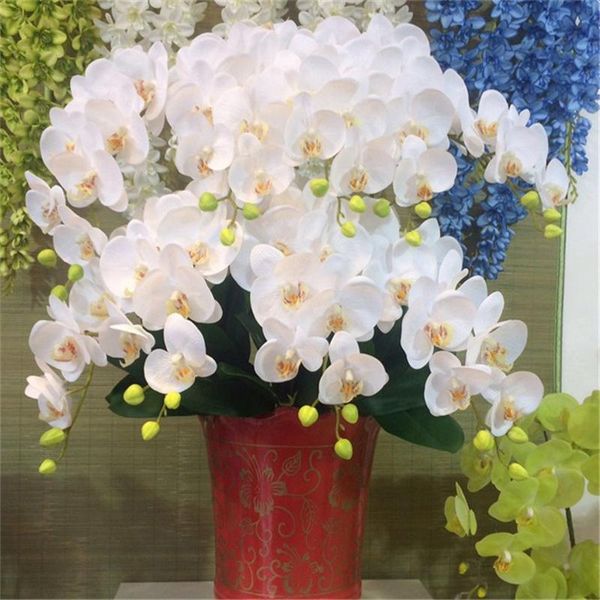 decorative flowers & wreaths silk butterfly orchid artificial phalaenopsis diy bouquet for wedding christams home decoration fake garden pot
decorative flowers & wreaths silk butterfly orchid artificial phalaenopsis diy bouquet for wedding christams home decoration fake garden pot