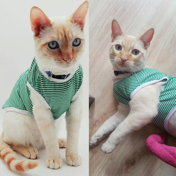 cat costumes summer clothes cotton striped vest pet cats t shirt clothing for outfit cute kitten puppy costume
cat costumes summer clothes cotton striped vest pet cats t shirt clothing for outfit cute kitten puppy costume