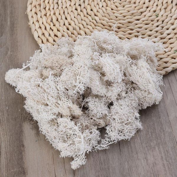 preserved fresh moss diy floral material accessory beautiful decoration for wedding party garden 50g )
preserved fresh moss diy floral material accessory beautiful decoration for wedding party garden 50g )