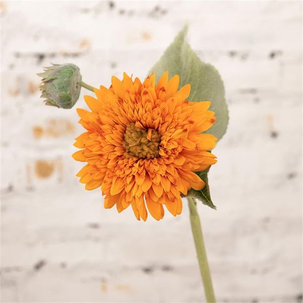 decorative flowers & wreaths artificial sunflower long stem silk fake sunflowers decoration for outdoor home wedding birthday party single b
decorative flowers & wreaths artificial sunflower long stem silk fake sunflowers decoration for outdoor home wedding birthday party single b